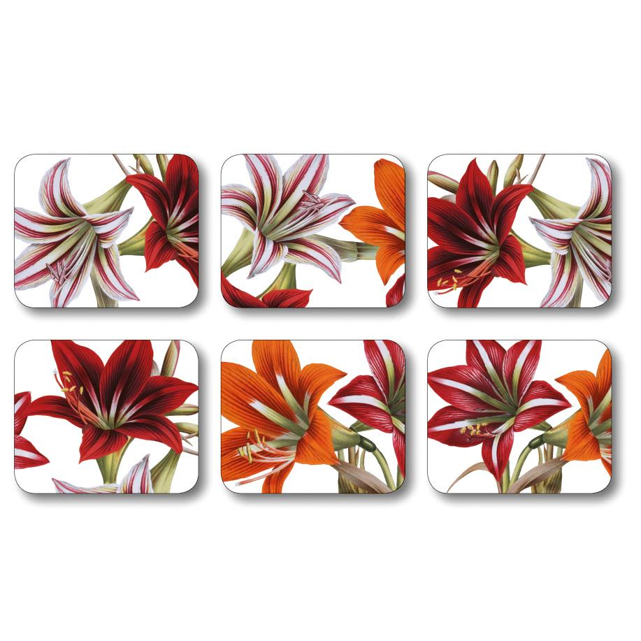 Amaryllis Red Flower Coasters by Jason